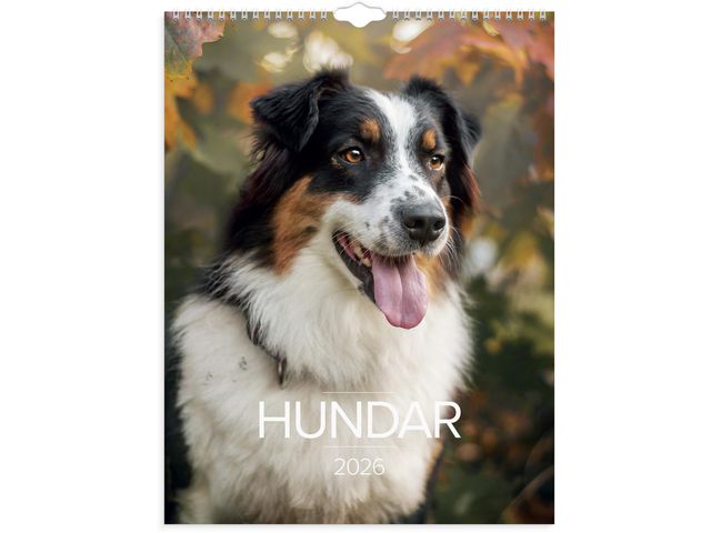 Väggkalender Stora Hundkalendern 2026 Primmeshiper