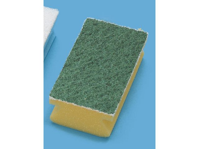 Rengöringssvamp TASKI grön 7x15cm 10/fp - Primmeshiper