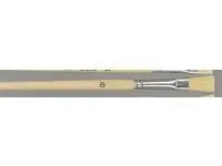 Borstpensel nr 10 10/fp - Primmeshiper
