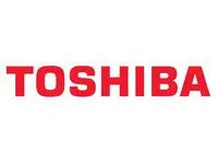 Toner TOSHIBA TFC338EM-R 6K magenta - Primmeshiper