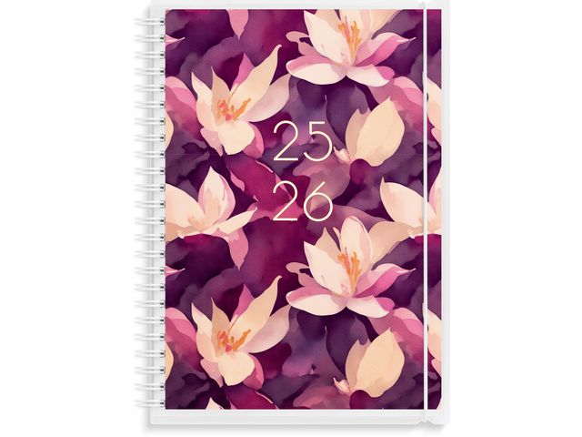 Kalender Study 4i1 A5 25/26 - Primmeshiper