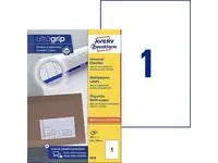 Etikett AVERY 210x297mm 100/fp - Primmeshiper